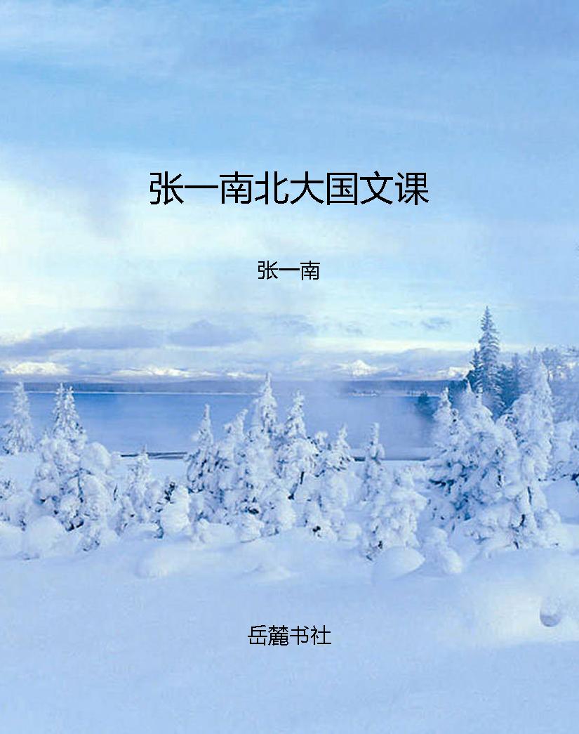 张一南北大国文课