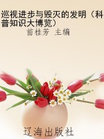巡视进步与毁灭的发明