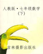 人教版·七年级数学(