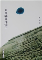 为灵魂寻找镜子