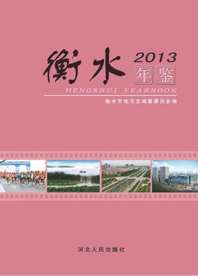 衡水年鉴 2013年卷（总