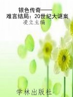 银色传奇——难言结局