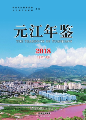 元江年鉴（2018）