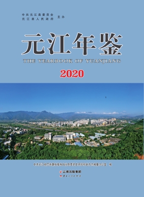 元江年鉴（2020）