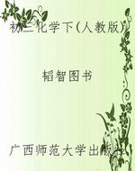 初三化学下（人教版）
