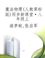 魔法物理（人教课标版）同